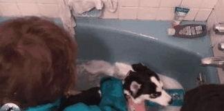 视频洗澡,揭秘日常洗澡的乐趣与益处