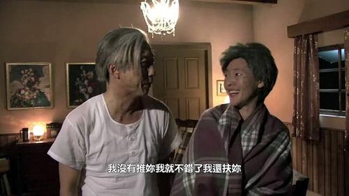 哈你歌视频,青春旋律，梦想启航