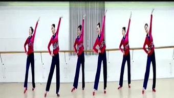 红卫兵舞蹈视频大全