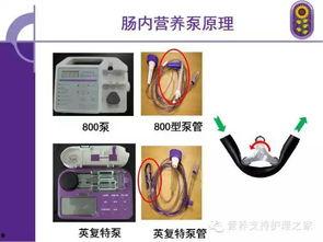 营养泵的操作流程视频,视频教程详解
